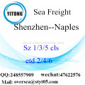 Shenzhen-Hafen LCL Konsolidierung nach Neapel